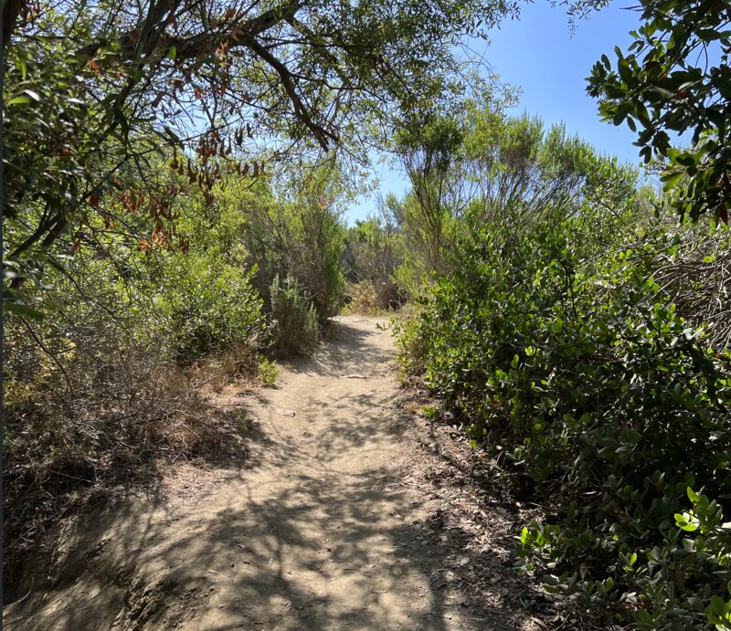Coastal hiking trail